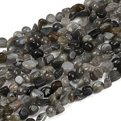 天然石ラブラドライトビーズ連売り  ナゲット  タンブルストーン  8~13x8~10x3~8mm  穴：1mm  約49~50個/連  15.55~15.75''（39.5~40センチメートル）&nbsp;G-Q060-E20-02