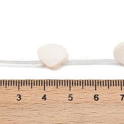 Natural Freshwater Shell Beads Strands&nbsp;SHEL-B005-05