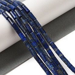 Natural Lapis Lazuli Beads Strands&nbsp;G-B091-A15-01