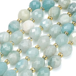 Natural Flower Amazonite Beads Strands&nbsp;GG-CBA4A3B-A10