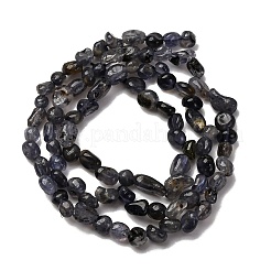 天然アイオライト/コーディエライト/ダイクロアイトビーズ連売り  ナゲット  5~9x4~6x3~4.5mm  穴：0.7mm  約75~89個/連  15.35''（39cm）〜15.94''（40.5cm）&nbsp;G-I389-A34-01A