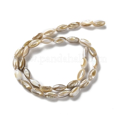 Natural Freshwater Shell Beads Strands&nbsp;SSHEL-B002-13