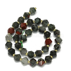 Natural Bloodstone Beads Strand&nbsp;G-I376-A16-01