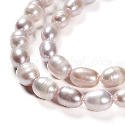 Natural Cultured Freshwater Pearl Beads Strands&nbsp;PEAR-R064-16