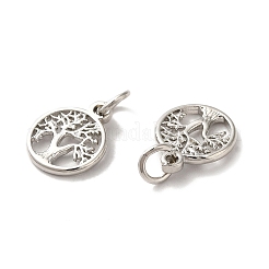 Brass Charms&nbsp;KK-Q403-01P