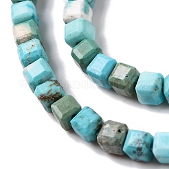 Natural Howlite Beads Strands&nbsp;G-G001-A03-06