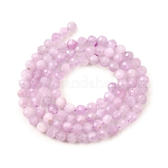 Natural Kunzite Beads Strands&nbsp;G-G259-D11-4mm