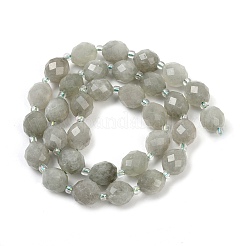 Natural Malaysia Jade Beads Strands&nbsp;G-D305-A01-01D