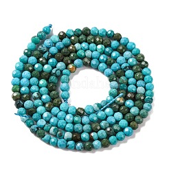 Natural Howlite Beads Strannds&nbsp;G-C025-02A-04