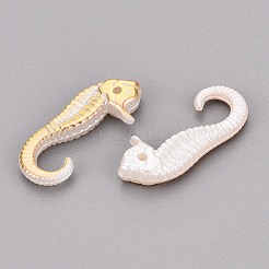 CCB Plastic Pendants&nbsp;PL-N007-15
