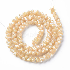 天然トロチッドシェル/トロカスシェルビーズ連売り  オーバル  6x3mm  穴：0.8mm  約173~174個/連  15.75インチ〜16.34インチ（40~41.5cm）&nbsp;SSHEL-N034-104-A01