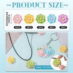 50Pcs 5 Colors 3D Opaque Resin Cabochons&nbsp;RESI-TA0005-02