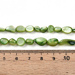 Natural White Shell Beads Strands&nbsp;SHEL-N036-21D
