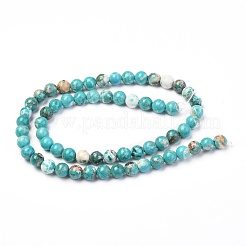 Natural Howlite Beads Strands&nbsp;X-G-L555-02-6mm