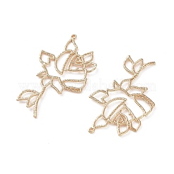 Brass Pendants&nbsp;KK-L266-01E-G