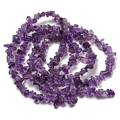 天然石アメジストビーズ連売り  チップ  4~16x3~4x3~6mm  穴：0.6mm  30.71''（78センチメートル）&nbsp;G-G0003-B44