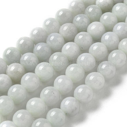 Natural Myanmar Jadeite Beads Strands G-L595-C01-02-1