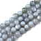 Natural Freshwater Shell Beads Strands, Dyed, Round, Gainsboro, 2.5mm, Hole: 0.5mm, about 122~136pcs/strand, 14.57 inch~15.63 inch(37cm~39.7cm)