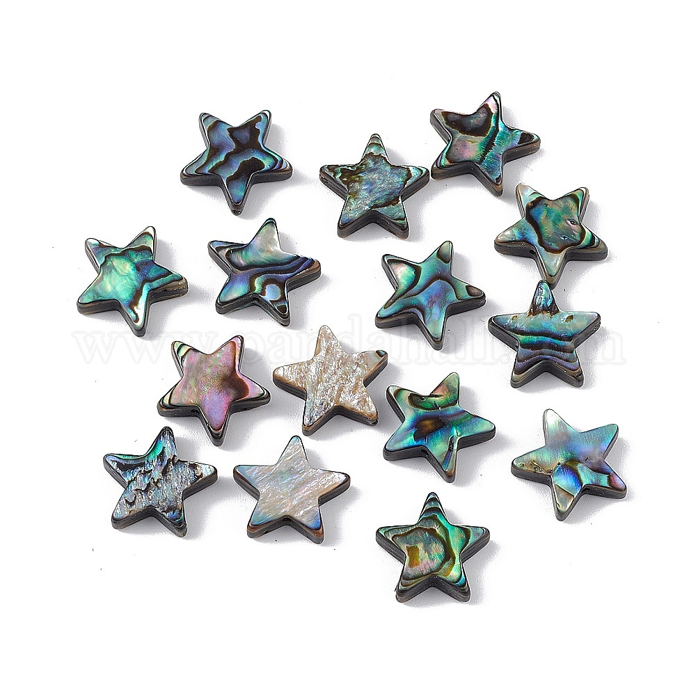 Wholesale Natural Abalone Shell/Paua Shell Beads - Pandahall.com