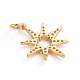 Brass Micro Pave Cubic Zirconia Pendants&nbsp;ZIRC-E164-29G-3