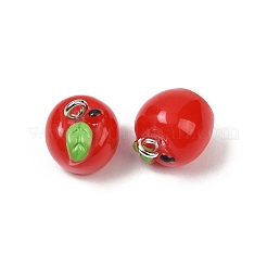 Spray Painted Opaque Resin Charms&nbsp;RESI-F061-01A-01