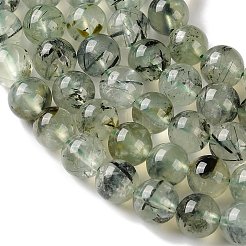 Natural Prehnite Beads Strands&nbsp;G-G474-A01-8mm