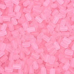 FGB Frosted Transparent Glass Seed Beads&nbsp;SEED-N013-05A-05