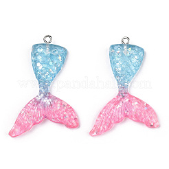 Resin Pendants&nbsp;CRES-T010-68L