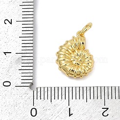 真鍮製チャーム  巻き貝  丸カン付き  ラックめっき  カドミウムフリー＆鉛フリー  長持ちメッキ  18KGP本金メッキ  14x11x4.5mm  穴：3mm&nbsp;X-KK-U058-56G