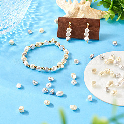 60Pcs 3 Colors Electroplated Shell Pearl Beads&nbsp;BSHE-TA0001-13
