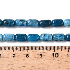 Natural Apatite Beads Strands&nbsp;G-G980-51B
