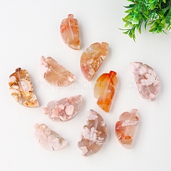 Natural Cherry Blossom Agate Display Decorations&nbsp;G-PW0004-28