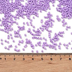 Baking Paint Glass Seed Beads&nbsp;SEED-S042-05B-71