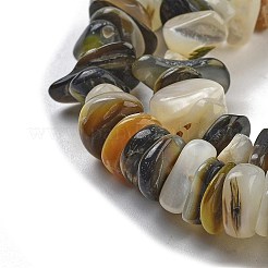 天然ブラックリップシェルビーズ連売り  チップ  2.5~6x6.5~10x7~11mm  穴：0.4mm  15.94''（40.5センチメートル）&nbsp;BSHE-G038-04