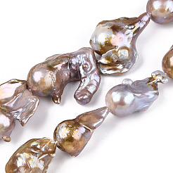 Natural Baroque Pearl Keshi Pearl Beads Strands&nbsp;PEAR-S019-04D
