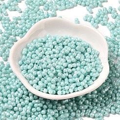 Opaque Colours Luster Glass Seed Beads&nbsp;SEED-B001-01A-08