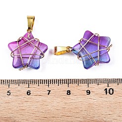 Lampwork Pendants&nbsp;GLAA-T023-06J