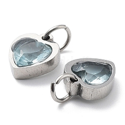 304 Stainless Steel Pendants&nbsp;STAS-D189-06P-14