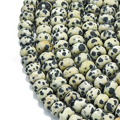 天然石ダルメシアンジャスパービーズ連売り  艶消し  ロンデル  8x5mm  穴：1.4mm  約73~75個/連  14.96''~15.16''（38~38.5センチメートル）&nbsp;G-P575-A01-8x5mm