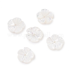 Natural Trochid Shell/Trochus Shell Beads&nbsp;SHEL-P014-02A