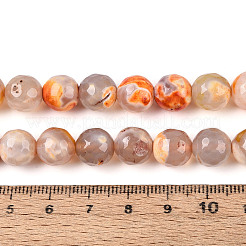 Dyed & Heated Natural Fire Crackle Agate Beads Strands&nbsp;G-N359-01B-10