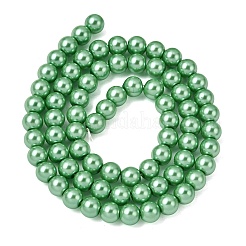 Eco-Friendly Dyed Glass Pearl Round Beads Strands&nbsp;HY-A002-6mm-RB008