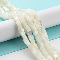 Natural Trochus Shell Beads Strands&nbsp;SHEL-M020-01