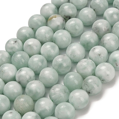 Glass Beads Strands&nbsp;G-L642-B18-12mm