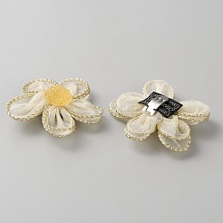 Lace & Plastic Detachable Shoe Buckle Clips&nbsp;FIND-WH0423-74A