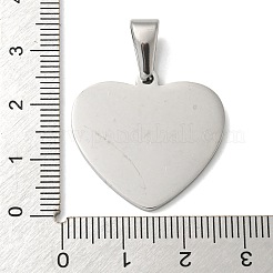 Tarnish Resistant 304 Stainless Steel Pendants&nbsp;STAS-I135-12P