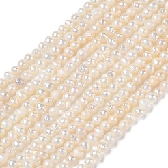 Natural Cultured Freshwater Pearl Beads Strands&nbsp;PA-CBAC463-24