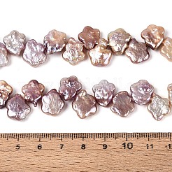 Natural Baroque Keshi Pearl Beads Strands&nbsp;PEAR-S020-A04-02
