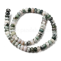 Natural Tree Agate Beads Strands&nbsp;G-A280-A04-02