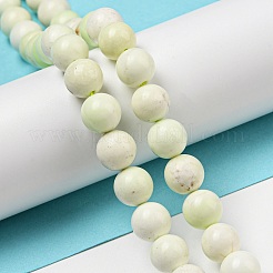 天然石レモンジェイド翡翠ビーズ連売り  ラウンド  8mm  穴：1mm  約50個/連  15.71''（39.9センチメートル）&nbsp;G-R494-A10-03